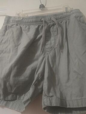 PacSun Light Sage Elastic Waist Mens Small Shorts